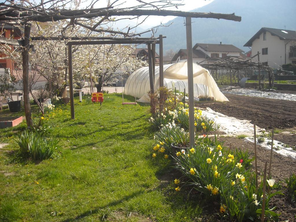 Agriturismo Bortolotti Перджине Валсугана Екстериор снимка